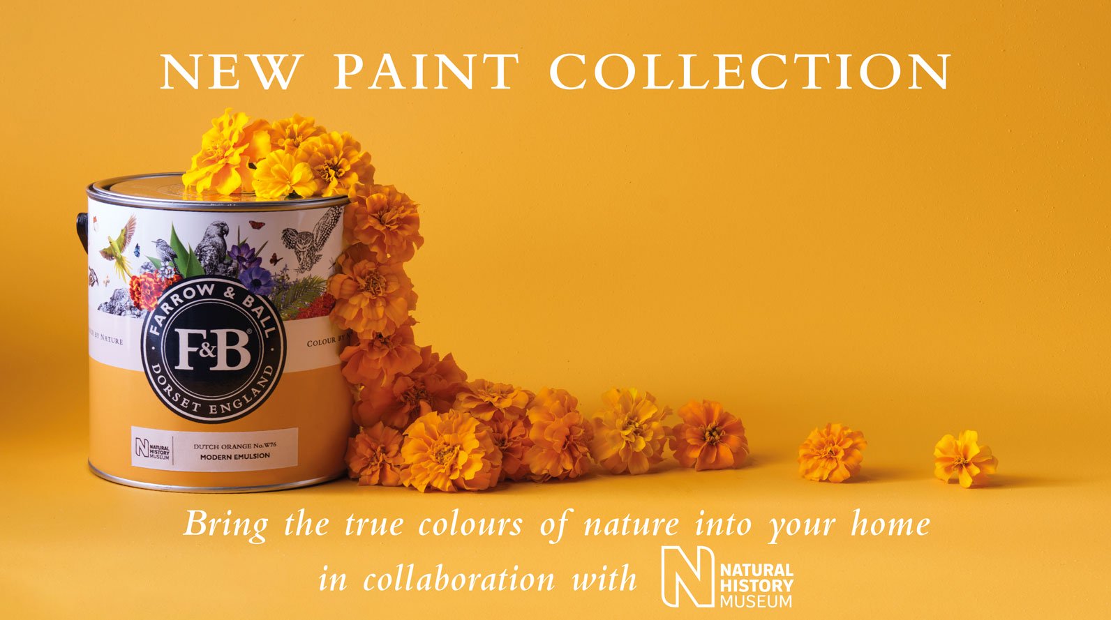 Farrow & Ball flowers image