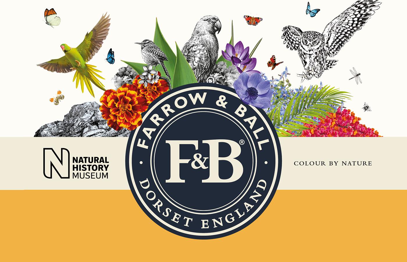 Farrow & Ball flowers image